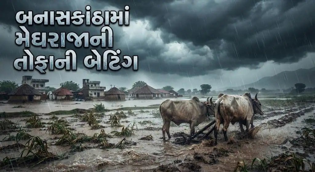 બનાસકાંઠામાં ધોધમાર વરસાદ: પાલનપુરના રસ્તા પાણીમાં, બસ સ્ટેશનમાં બે ફૂટ પાણી