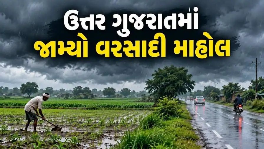 ઉત્તર ગુજરાતમાં સાર્વત્રિક વરસાદ: પાકને જીવતદાન, નીચાણવાળા વિસ્તારોમાં જનજીવન પ્રભાવિત