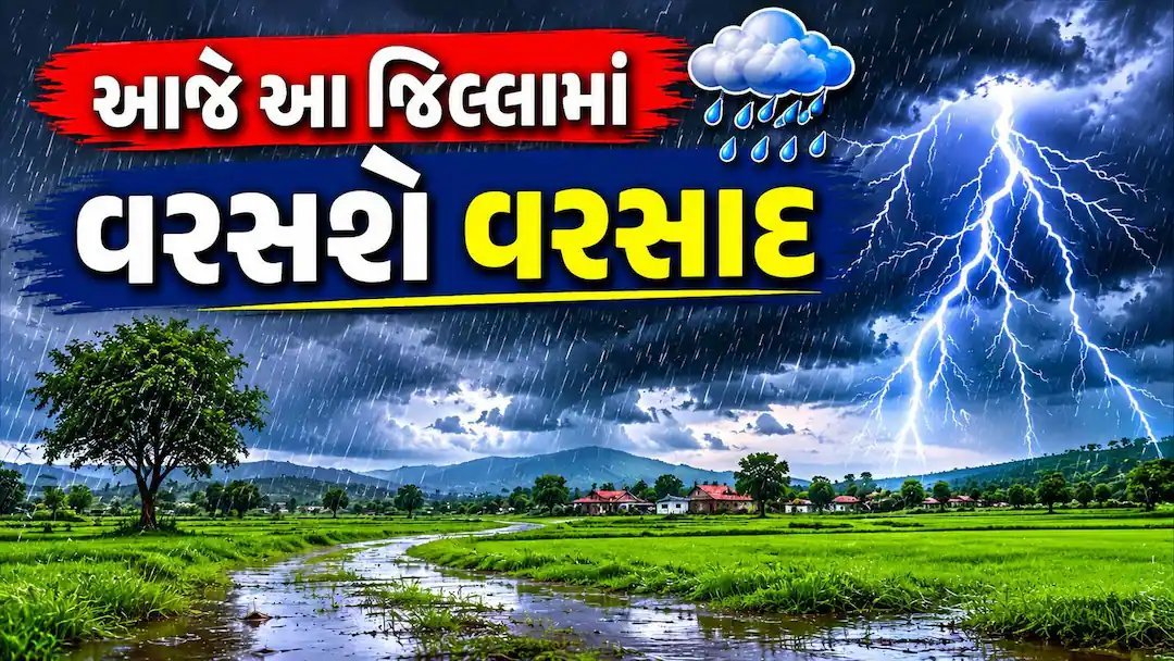 ગુજરાતમાં 224 તાલુકામાં વરસાદ, 28 ડેમ 100% ભરાયા, મહિસાગર-દાહોદ-પંચમહાલમાં યેલો એલર્ટ