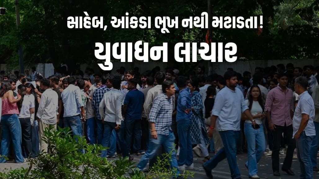 દેશના 250 જિલ્લામાં 25% યુવાનો બેરોજગાર અને અભ્યાસથી દૂર: PLFS સર્વે