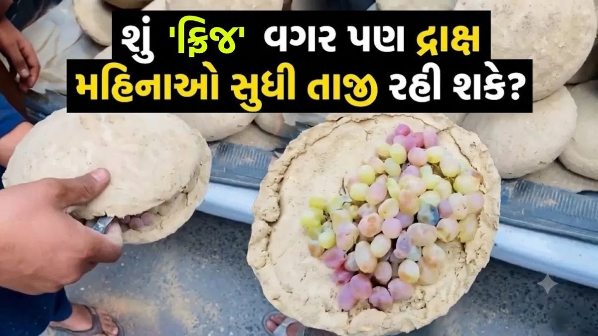 ફ્રિજ વગર મહિનાઓ સુધી તાજી રહે દ્રાક્ષ, અફઘાનિસ્તાનની માટીના કન્ટેનરવાળી પદ્ધતિ વાયરલ
