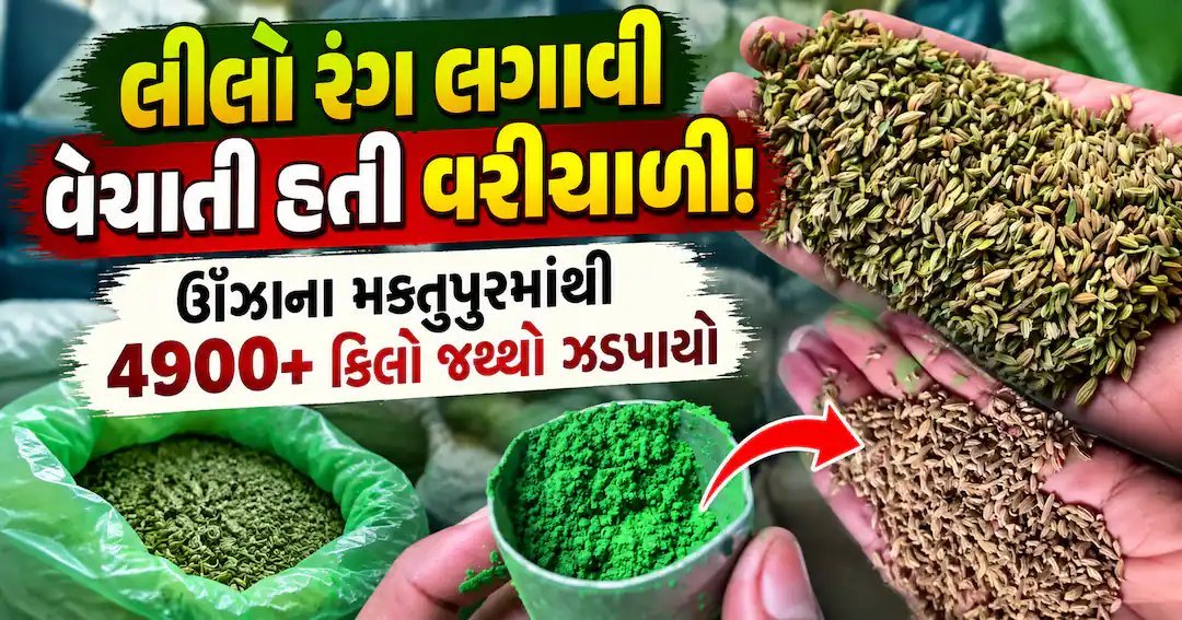 ઊંઝાના મક્તુપુરમાં ફેક્ટરી પર દરોડો: 4911 કિલો વરિયાળી અને લીલો રંગ જપ્ત
