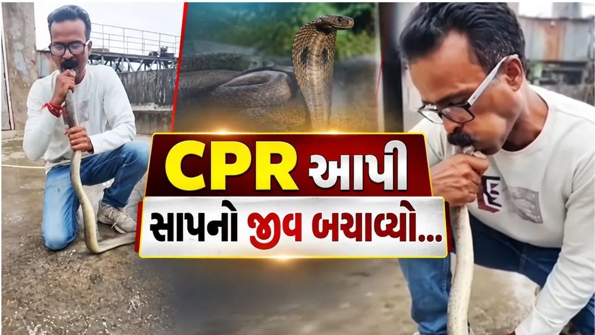 વાપીમાં સ્નેક કેચરે બેહોશ સાપને CPR આપી બચાવ્યો જીવ, વીડિયો વાયરલ