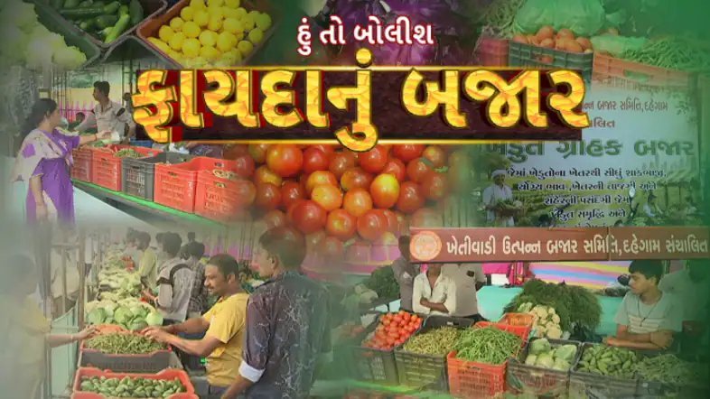 દહેગામમાં ખેડૂત-ગ્રાહક બજાર, અમદાવાદમાં વિદેશી શાકભાજીનો ક્રેઝ