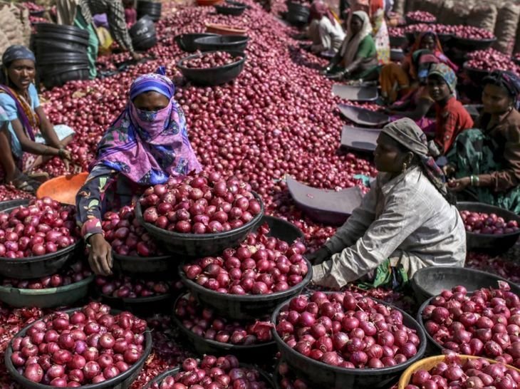 ડુંગળીના ભાવ 3 મહિનામાં 82% વધ્યા: ₹30થી ₹54 પ્રતિ કિલો, સરકારી પગલાંથી રાહતની આશા