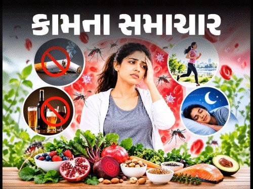 ડેન્ગ્યુમાં પ્લેટલેટ્સ ઘટવાના 8 સંકેત અને 5 ભૂલો, જે જીવલેણ બની શકે