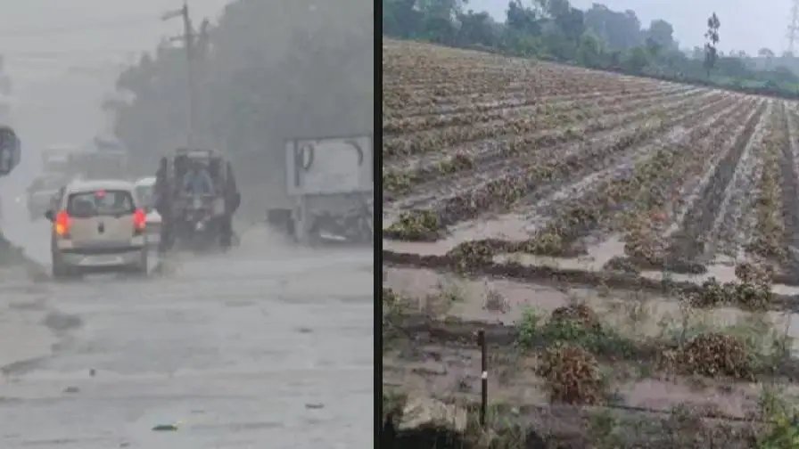 સૌરાષ્ટ્રમાં ધોધમાર વરસાદ: જસદણમાં દોઢ ઈંચ વરસાદથી કપાસ-સોયાબીનને જીવનદાન, મગફળીના પાથરા પલળ્યા