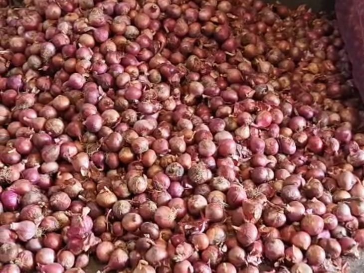 સુરતમાં ડુંગળીના ભાવ એક મહિનામાં મણે ₹400 વધ્યા, ગૃહિણીઓનું બજેટ ખોરવાયું