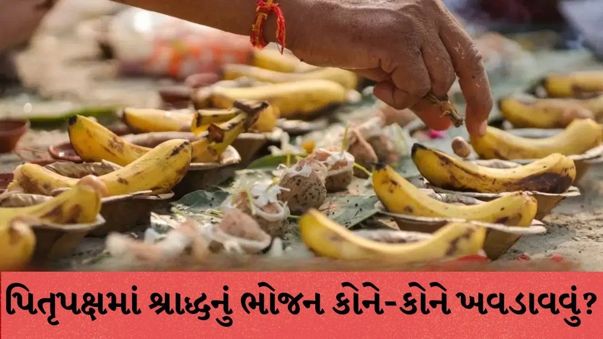 પિતૃપક્ષ 2026: શ્રાદ્ધનું ભોજન કોને ખવડાવવું? જાણો પંચબલિ અને ભોજન પીરસવાના નિયમો