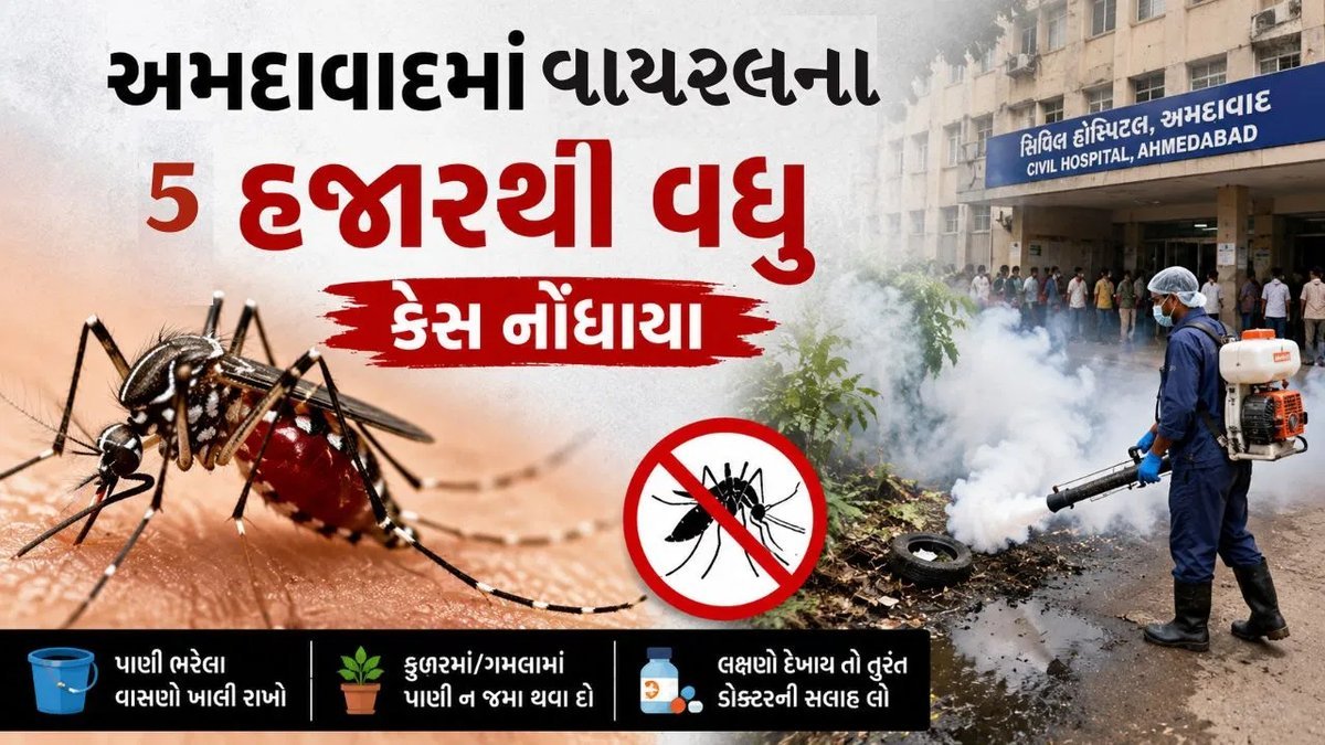 અમદાવાદમાં વાયરલ અને મચ્છરજન્ય રોગચાળો: 5 હજારથી વધુ કેસનો દાવો, AMCની ચેકિંગમાં 222 સ્થળે બ્રિડિંગ મળ્યું