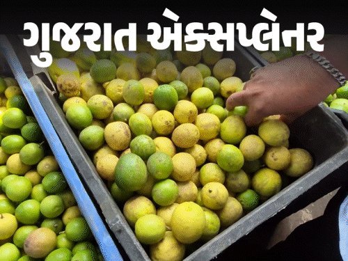 લીંબુના ભાવ 300 રૂપિયે કિલો: કેમ વધ્યા અને ક્યાં સુધી રહેશે? જાણો કારણો
