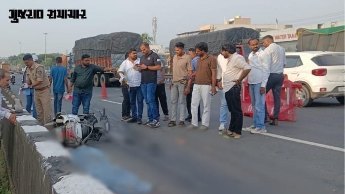 વલસાડના પારડી હાઇવે પર ટ્રક-મોપેડ અકસ્માતમાં સાસુ-વહુના મોત