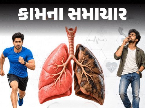 સિગારેટનો એક કશ, ફેફસાં પર 7000 ઝેરી કેમિકલ્સનો હુમલો: ધૂમ્રપાન છોડો તો ફેફસાં કેવી રીતે સુધરે, જાણો