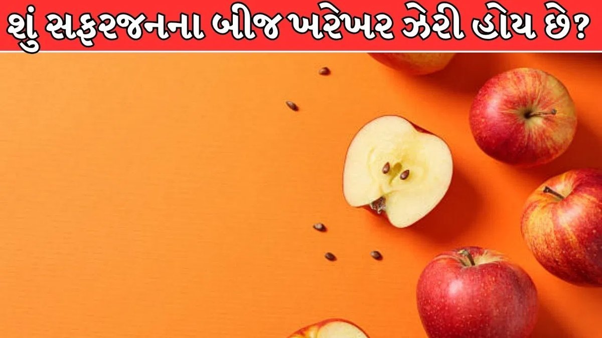 સફરજનના બીજ ગળી જવાથી ઝેર થાય? નિષ્ણાતો કહે છે ચિંતાની જરૂર નથી