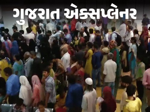 ગુજરાતમાં ડેન્ગ્યુનો વકરો: નવો વાયરસ, વધતા મોત અને પપૈયાના પાનનો ઉપચાર શું સાચો?