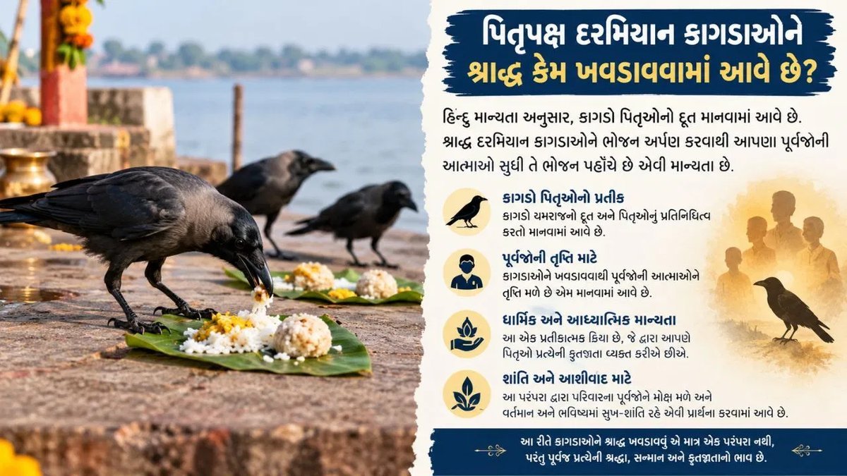 પિતૃપક્ષમાં કાગડાઓને શ્રાદ્ધ કેમ ખવડાવાય છે? જાણો પૌરાણિક કથા અને માન્યતા