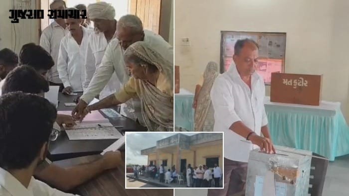 બાબરા APMC ચૂંટણી: ભાજપ સામે અસંતુષ્ટો અને કોંગ્રેસની મિશ્ર પેનલ, શાંતિપૂર્ણ મતદાન પૂર્ણ