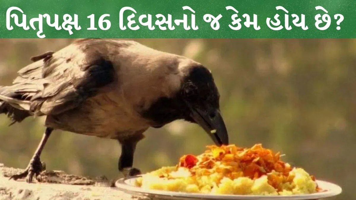 પિતૃપક્ષ 16 દિવસનો જ કેમ? જાણો દાનવીર કર્ણની કથા અને જ્યોતિષીય મહત્વ