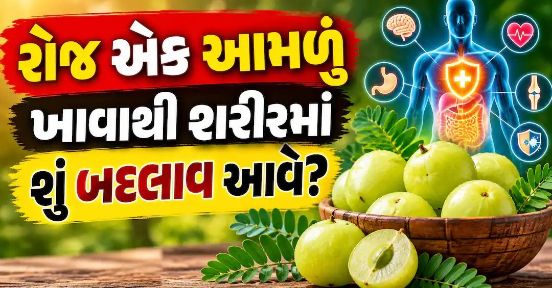 આમળું: વિટામિન C થી ભરપૂર, રોગપ્રતિકારક શક્તિ માટે વરદાન, પરંતુ સાવધાની પણ જરૂરી