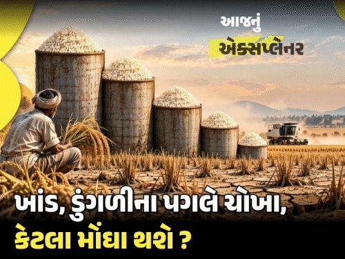 ચોખાનું ઉત્પાદન 17 વર્ષમાં સૌથી નીચું, સરકારી સ્ટોક છ ગણો છે તો પણ ભાવ કેમ વધે છે?