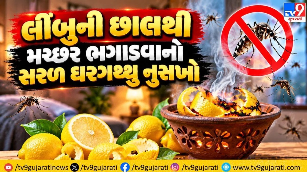 મચ્છરોથી બચવા ઘરે બનાવો લીંબુ-લીમડાનો કુદરતી દીવો, કેમિકલ વગર મળશે રાહત