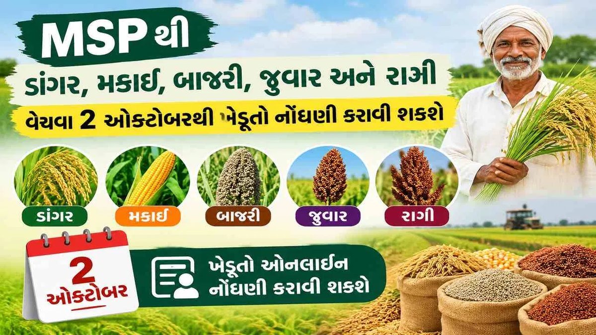 MSP પર ડાંગર, મકાઈ, બાજરી, જુવારની ખરીદી: 2 ઓક્ટોબરથી ઓનલાઇન નોંધણી શરૂ