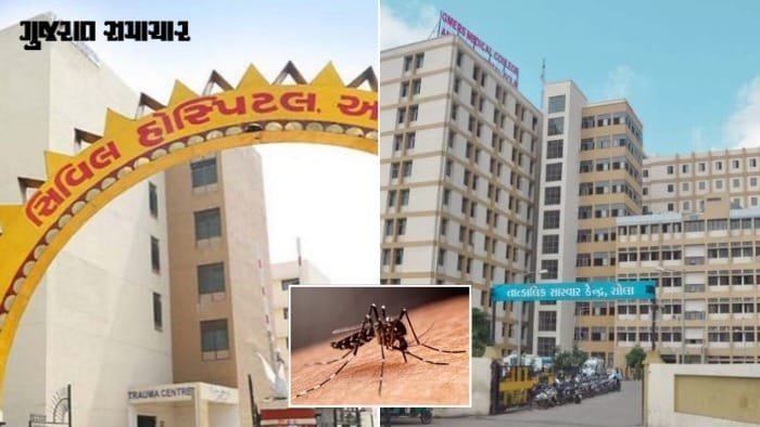 અમદાવાદમાં ડેન્ગ્યુ વધ્યો: સિવિલમાં 315 કેસ, સોલા સિવિલમાં 169 કેસ