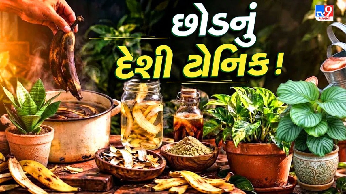 કેળાની છાલ ફેંકશો નહીં: છોડ માટે ઘરે જ બનાવો ઓર્ગેનિક ખાતર