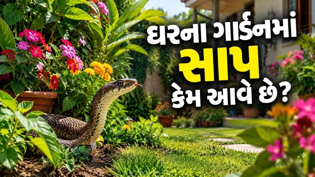 ઘરના બગીચામાં સાપ છુપાઈ શકે છે: આ છોડ અને સફાઈની ટેવથી રહો સાવધાન