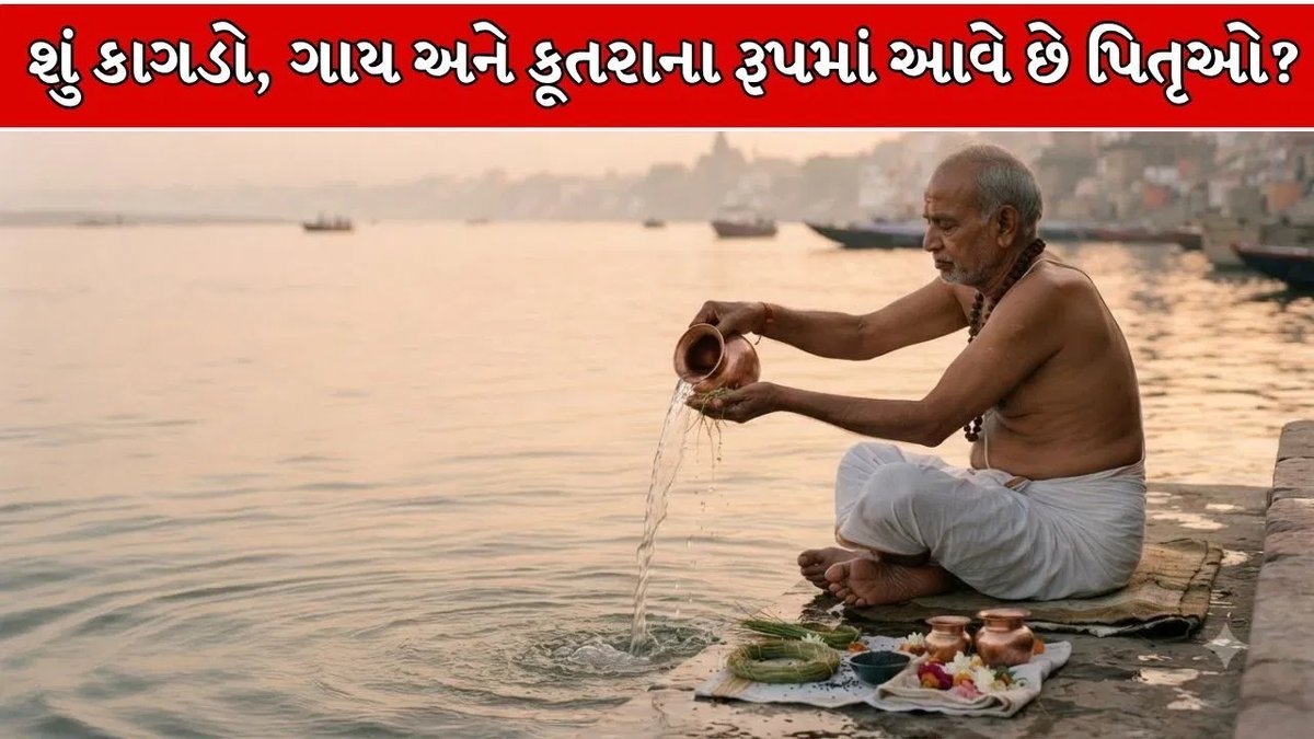 પિતૃપક્ષમાં પંચબલિ: કીડી, ગાય, કૂતરો અને કાગડાને ભોજન કરાવવાની ધાર્મિક માન્યતા શું છે?