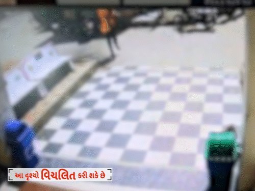 બનાસકાંઠાના દાંતીવાડામાં વૃદ્ધે પેટ્રોલ છાંટી આગ લગાવી, સળગતી હાલતમાં હોસ્પિટલમાં ઘૂસ્યા