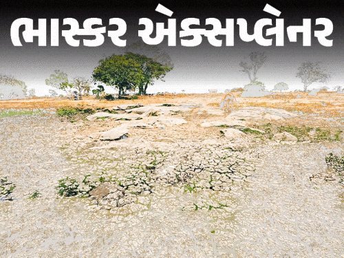 ચોમાસું વિદાય, પણ દેશનો 51% વિસ્તાર કોરુંધાકોર: ક્યાંક 17 વર્ષમાં સૌથી ઓછો તો ક્યાંક 20 વર્ષમાં સૌથી વધુ વરસાદ