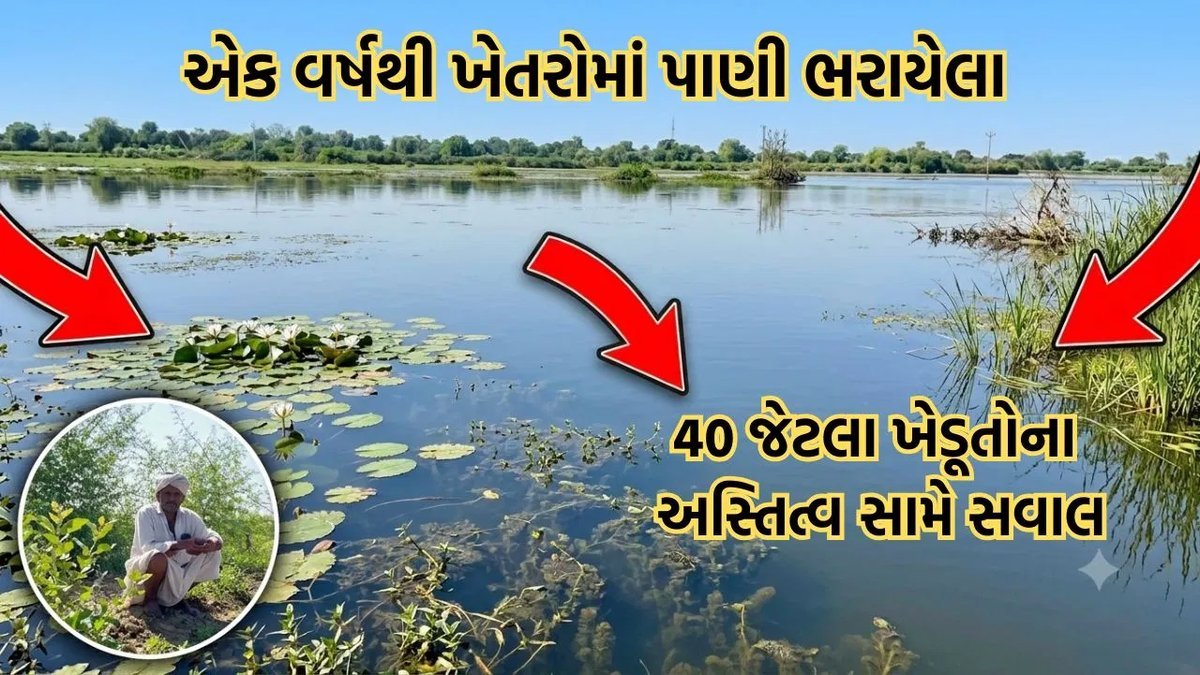 વાવ-થરાદના 40 ખેડૂતોના ખેતરોમાં વર્ષભરથી પાણી ભરાયેલું, આજીવિકા સામે સવાલ