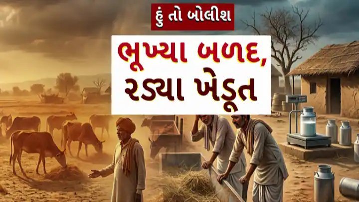 કચ્છ-સૌરાષ્ટ્રમાં ઘાસચારાની અછત, ભાવ બમણા: ખેડૂતો બળદ આશ્રમમાં મૂકવા મજબૂર