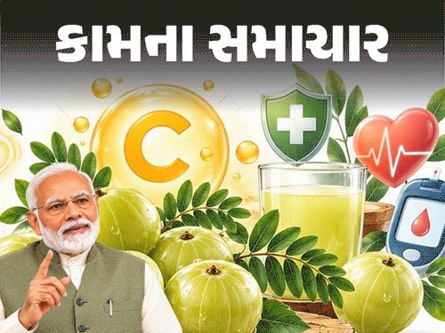 આમળું: એક ફળમાં 3 સંતરા કરતાં વધુ વિટામિન C, જાણો ફાયદા અને મર્યાદા