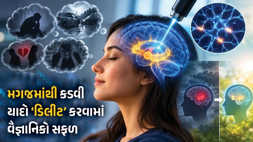 મગજમાંથી ખરાબ યાદો ભૂંસી શકાશે? ઉંદરો પરના પ્રયોગમાં વૈજ્ઞાનિકોને સફળતા