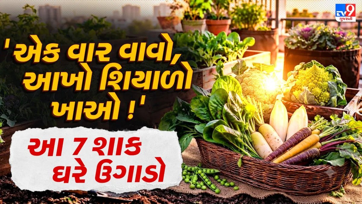 ઓક્ટોબરમાં વાવો આ 7 શાકભાજી, શિયાળામાં ઘરેલું તાજું શાક મળશે