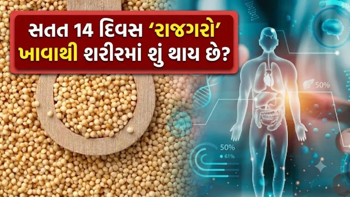 રાજગરો સતત 14 દિવસ ખાવાથી શરીરમાં શું ફેરફાર થાય? નિષ્ણાત પાસેથી જાણો